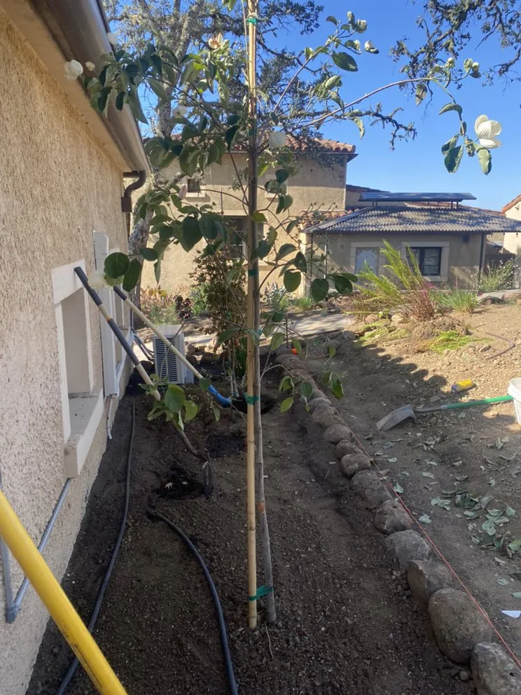 Trusted landscaping services for year-round maintenance in Santa Rosa, CA by JLA LANDSCAPING