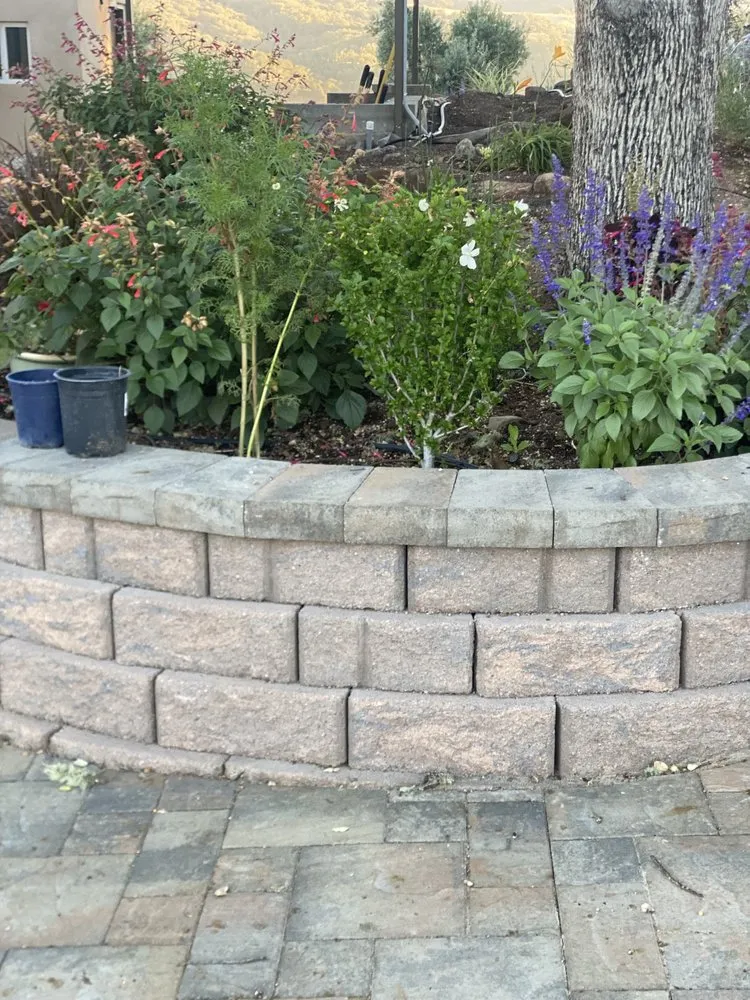 Expert lawn care service with custom design across Santa Rosa, CA - JLA LANDSCAPING