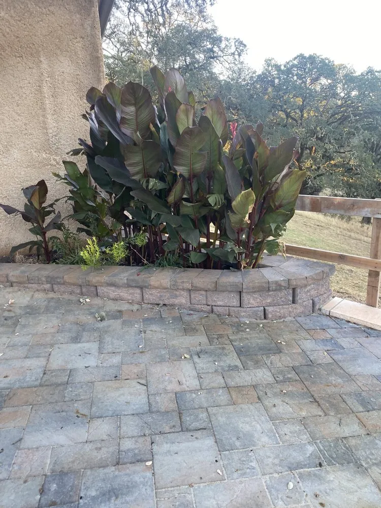 Local landscape installation in Santa Rosa, CA by JLA LANDSCAPING