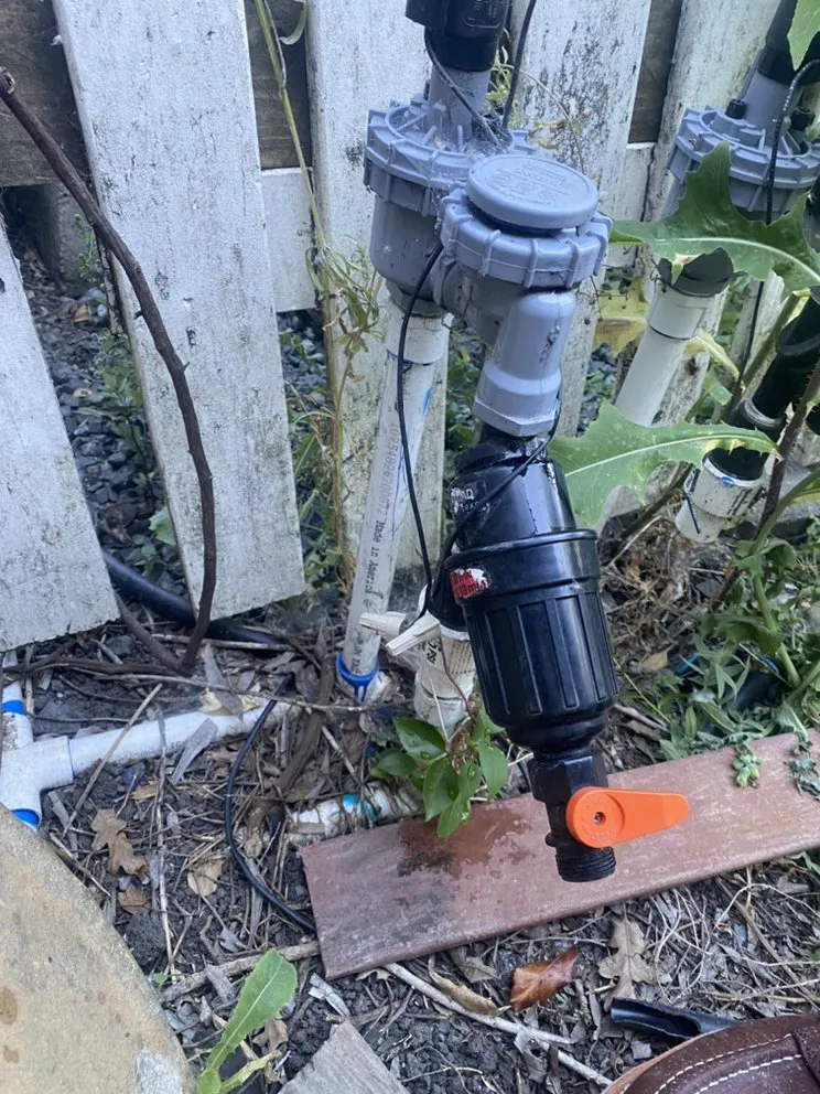 Reliable yard cleanup service in Santa Rosa, CA by JLA LANDSCAPING