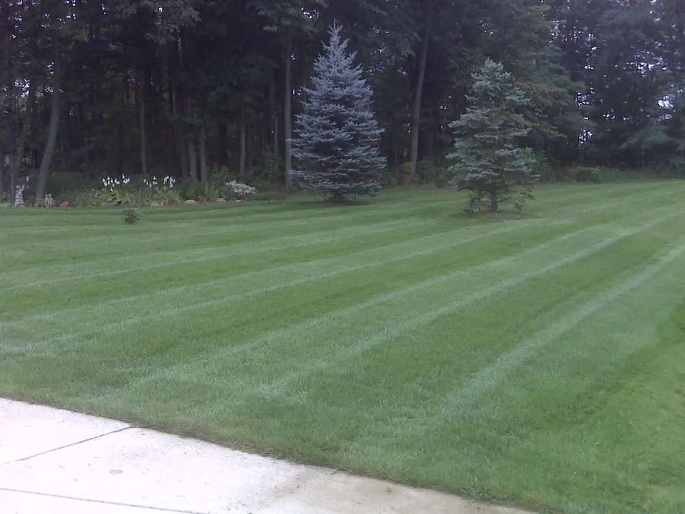 Affordable yard cleanup service experts serving Linden, MI - JLA Lawn Care