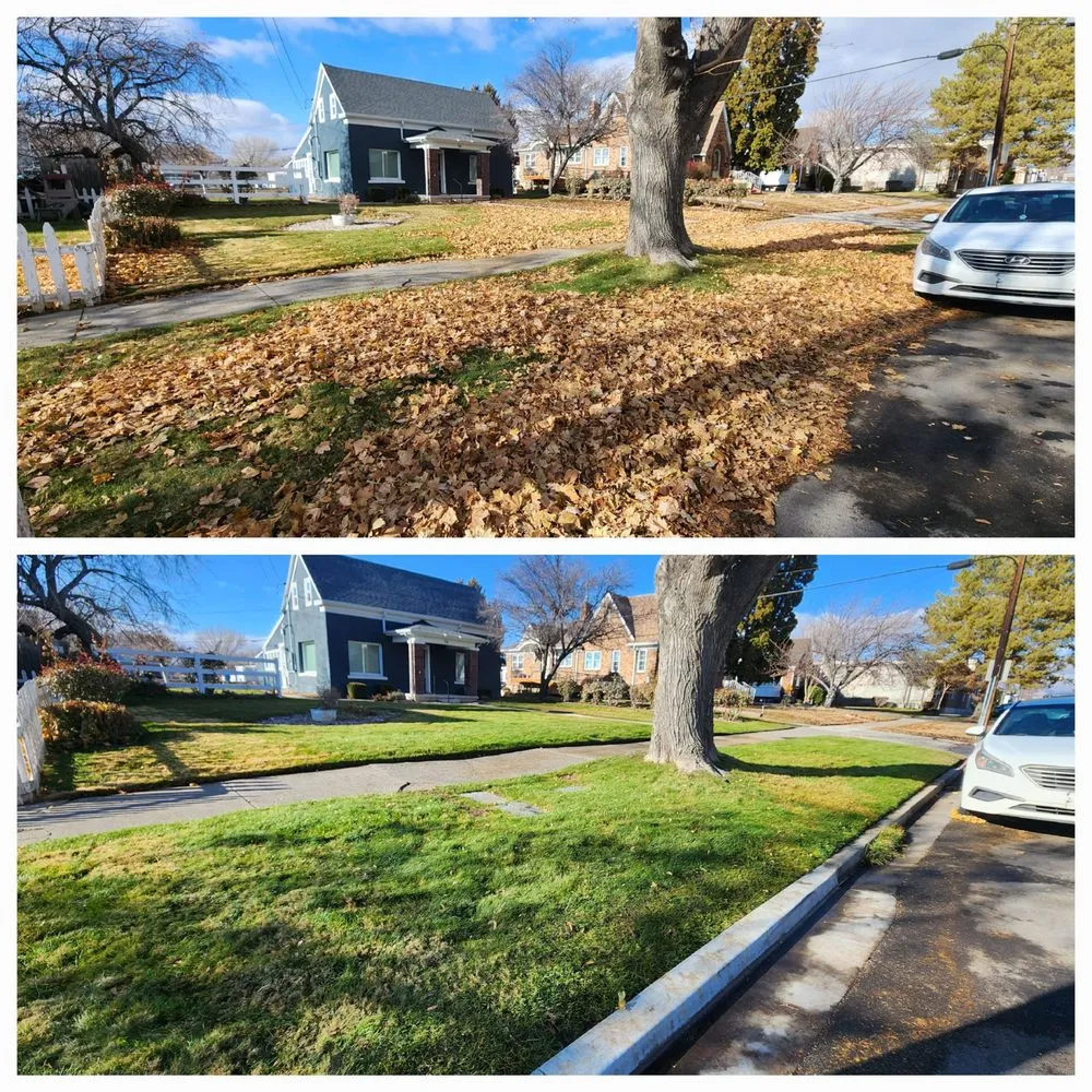 Local yard maintenance for beautiful yards across Bountiful, UT - JLA Lawn Services