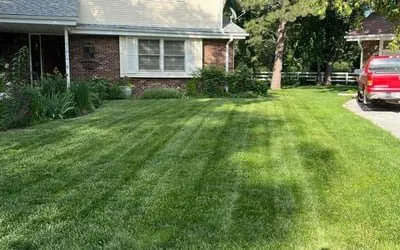 Expert yard cleanup service in Lake Alfred, FL - Jlaad Lawn Care Services