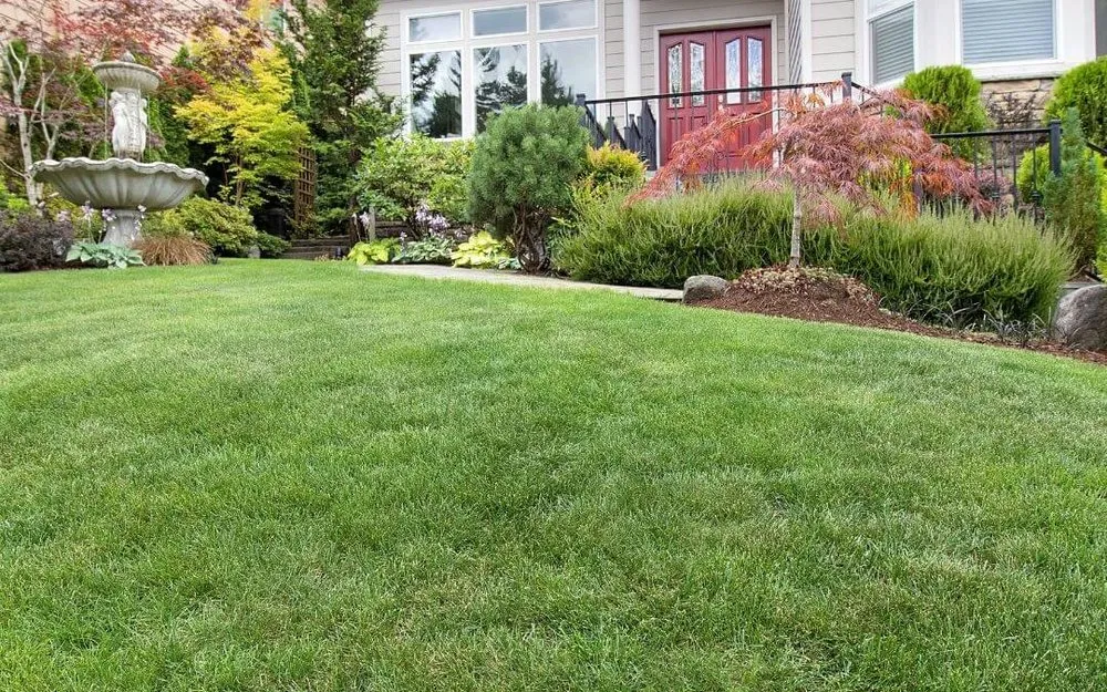 Trusted lawn mowing service for residential properties across Lake Alfred, FL - Jlaad Lawn Care Services