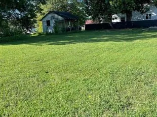 Reliable yard cleanup service for beautiful yards across Lake Alfred, FL - Jlaad Lawn Care Services