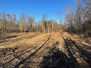 Custom lawn care service with custom design across Santa Fe, TN - jlawsland clearing
