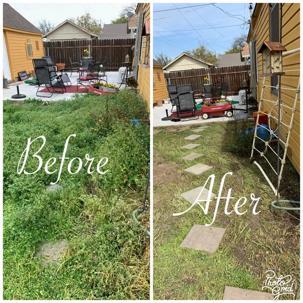 Top-rated lawn mowing service experts serving Colusa, CA - JLB Landscaping