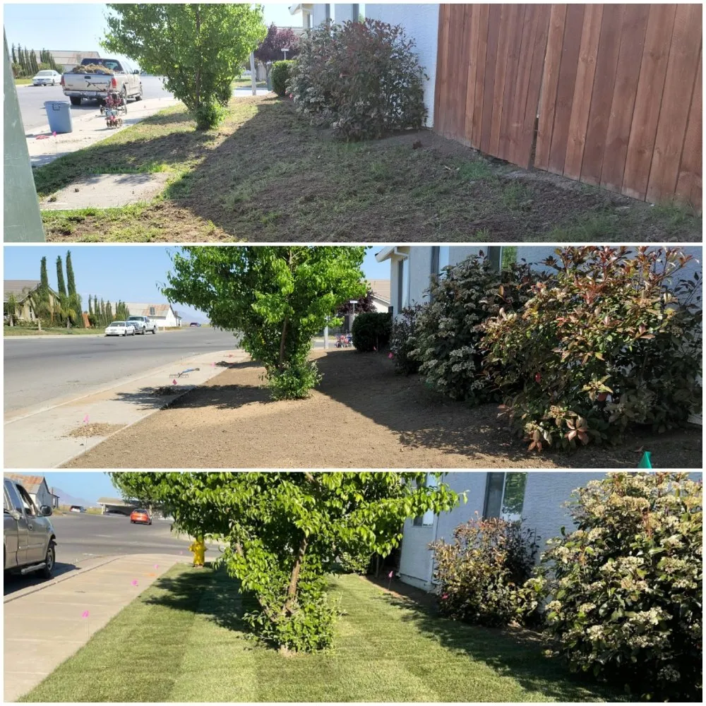 Trusted landscape installation experts serving Colusa, CA - JLB Landscaping