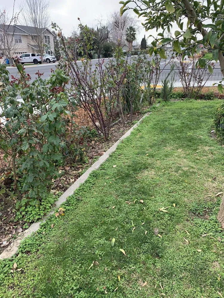 Top-rated landscape installation in Colusa, CA by JLB Landscaping