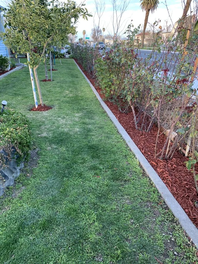 Expert outdoor landscaping for year-round maintenance across Colusa, CA - JLB Landscaping