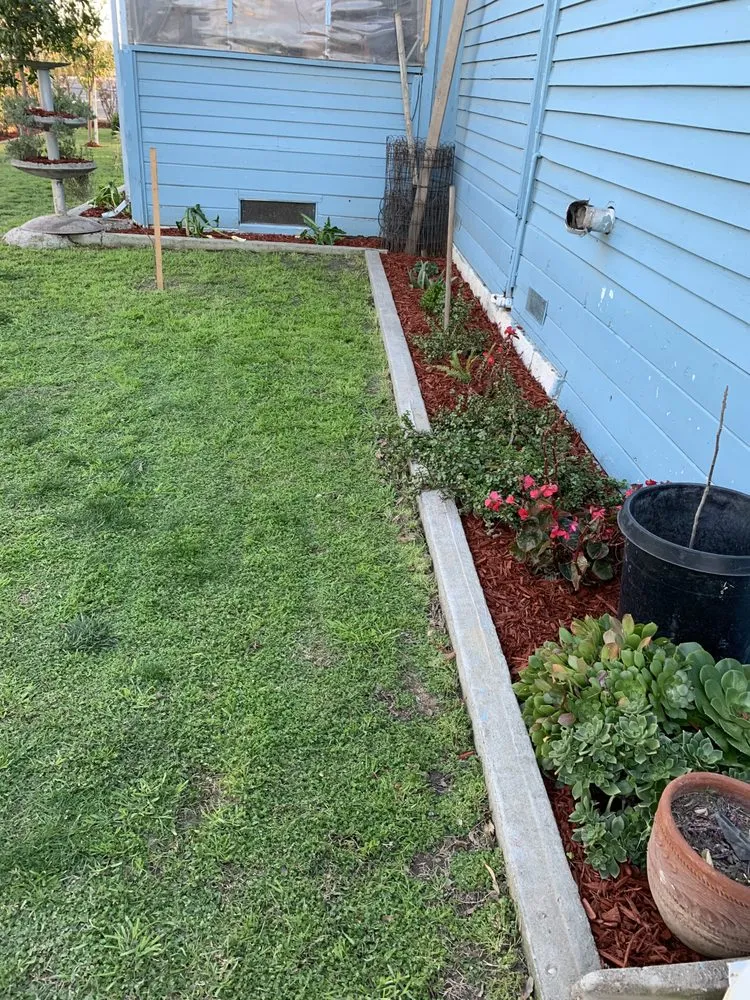 Expert yard maintenance experts serving Colusa, CA - JLB Landscaping