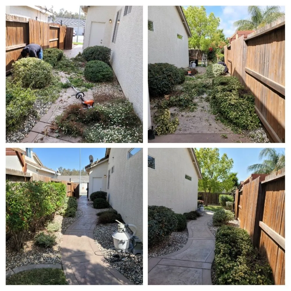 Affordable residential landscaping in Colusa, CA by JLB Landscaping
