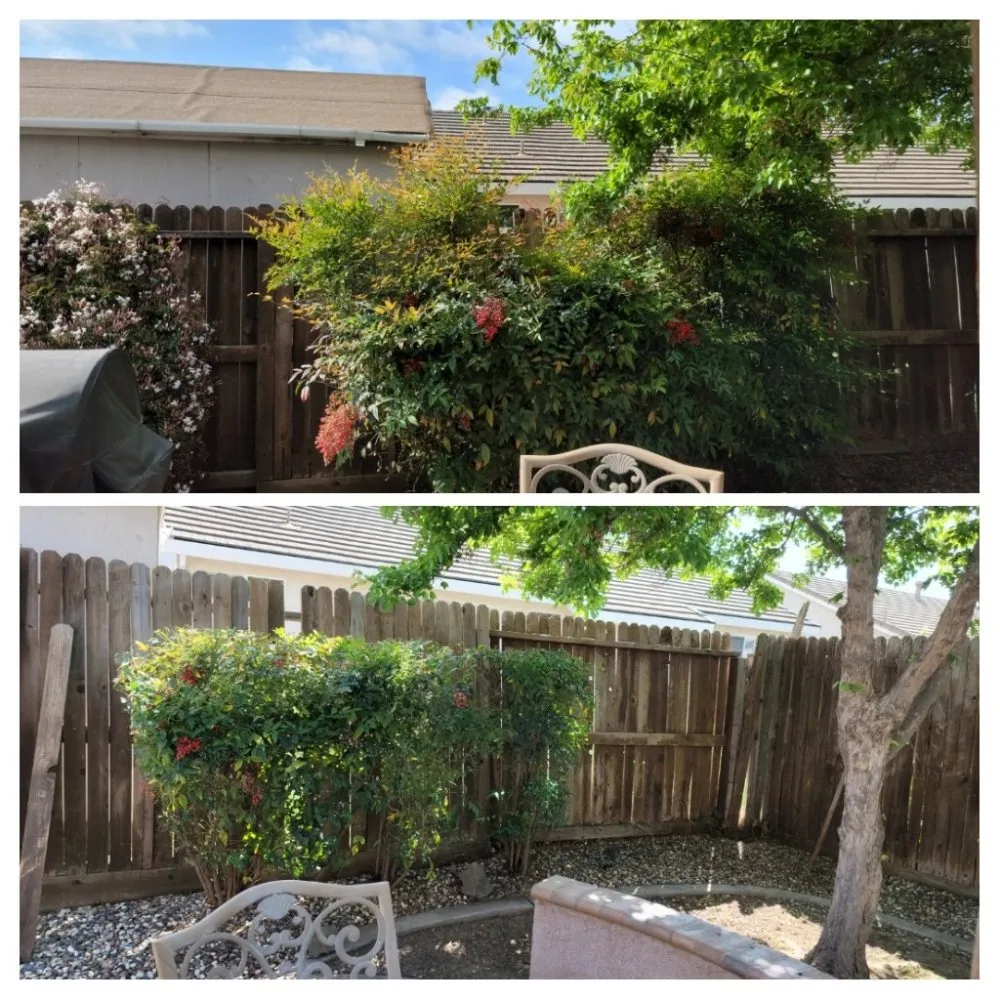 Affordable lawn care service in Colusa, CA - JLB Landscaping