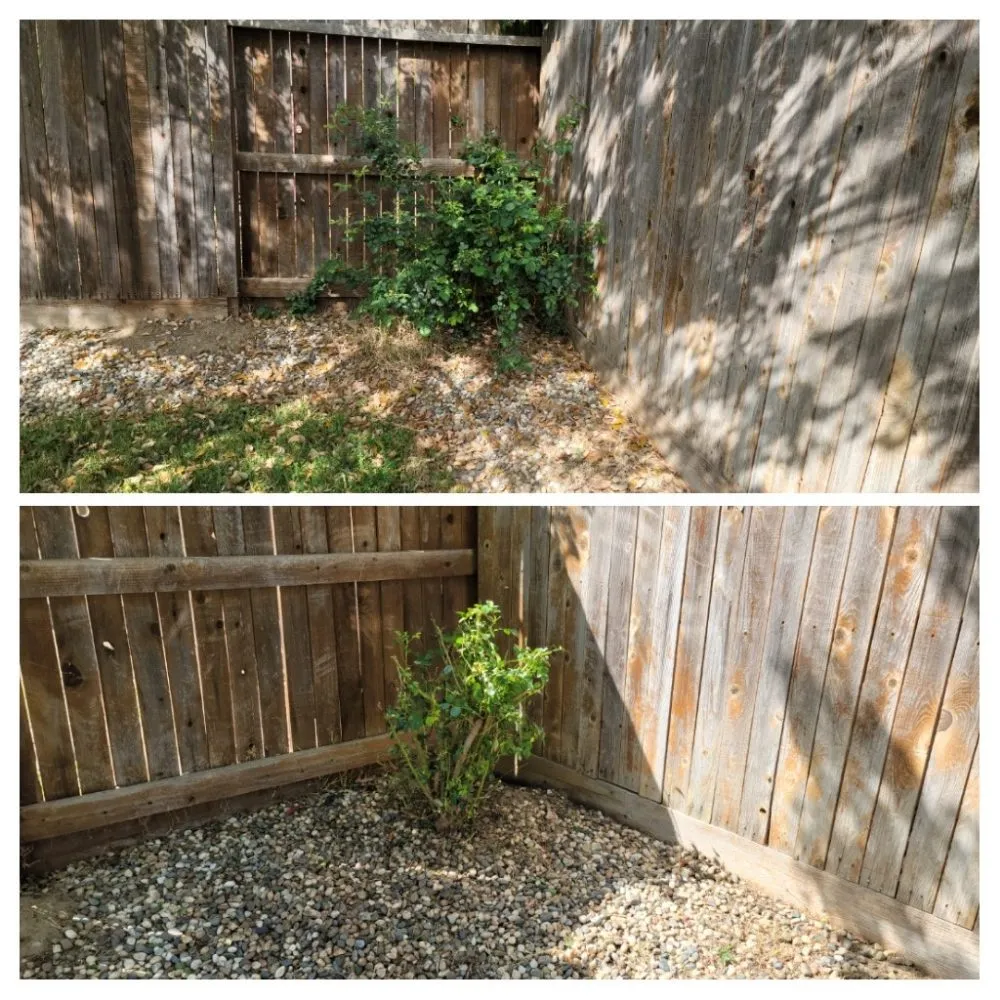 Affordable residential landscaping experts serving Colusa, CA - JLB Landscaping
