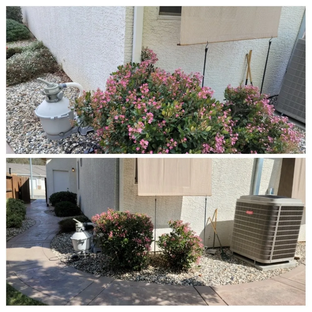 Local residential landscaping in Colusa, CA - JLB Landscaping