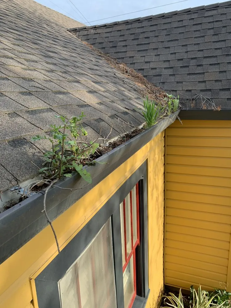 Trusted garden landscaping with custom design in Colusa, CA by JLB Landscaping