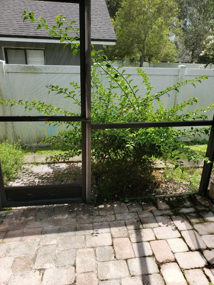 Reliable landscaping services for beautiful yards in Winter Park, FL by J.L.B Lawn & Tree