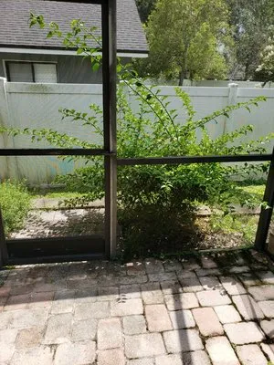 J.L.B Lawn & Tree Logo