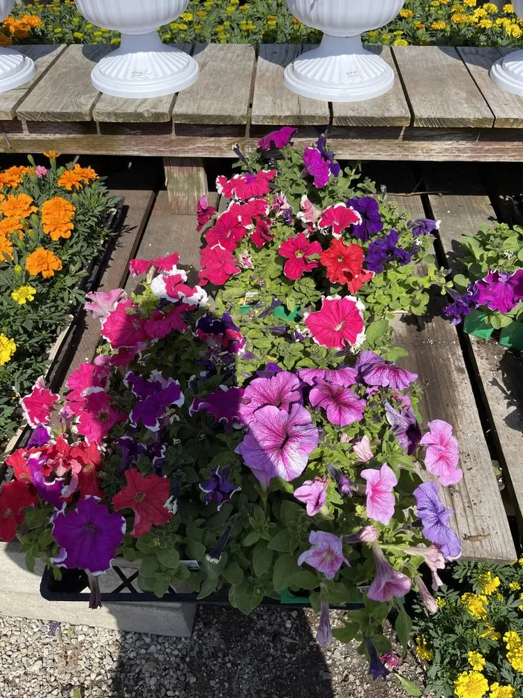 Top-rated yard cleanup service experts serving Bellflower, CA - JLC Gardening and Maintenance