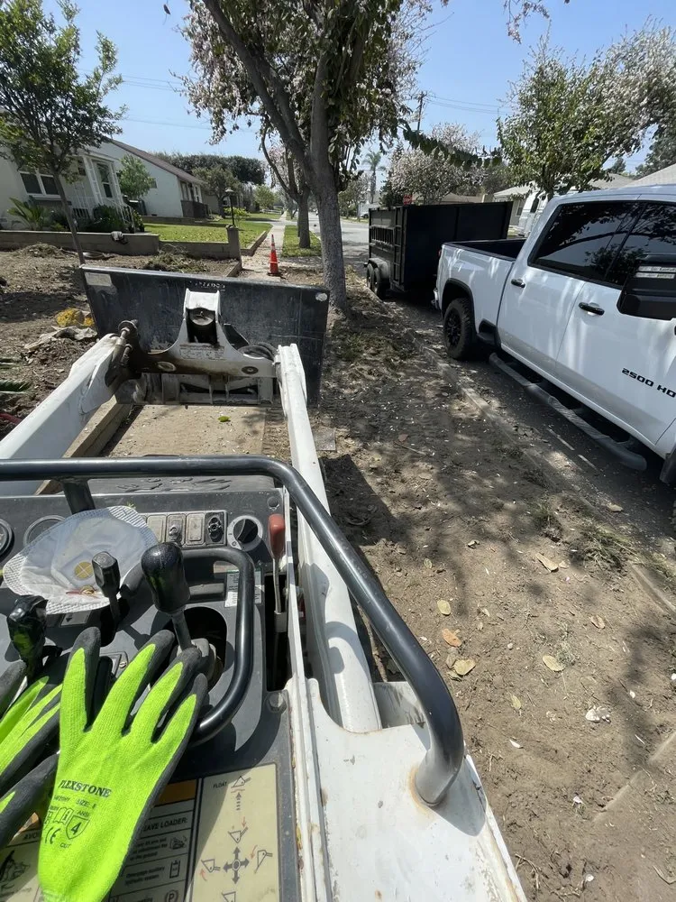 Expert yard cleanup service in Bellflower, CA - JLC Gardening and Maintenance