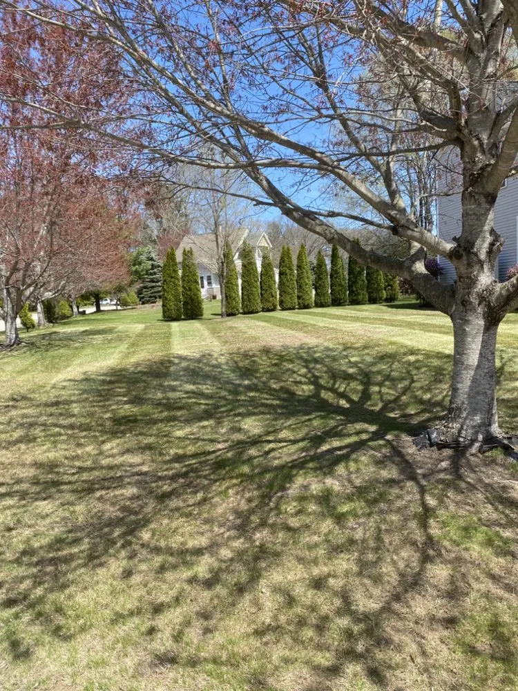 Custom landscaping services for residential properties across Auburn, MA - JLC Landscape