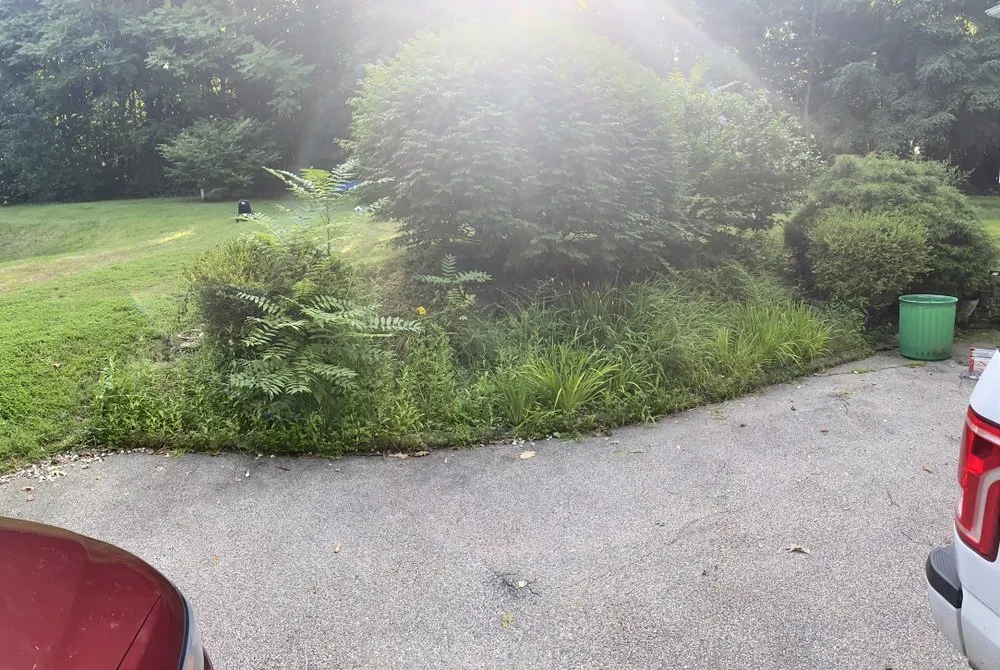 Affordable landscape design experts serving Auburn, MA - JLC Landscape