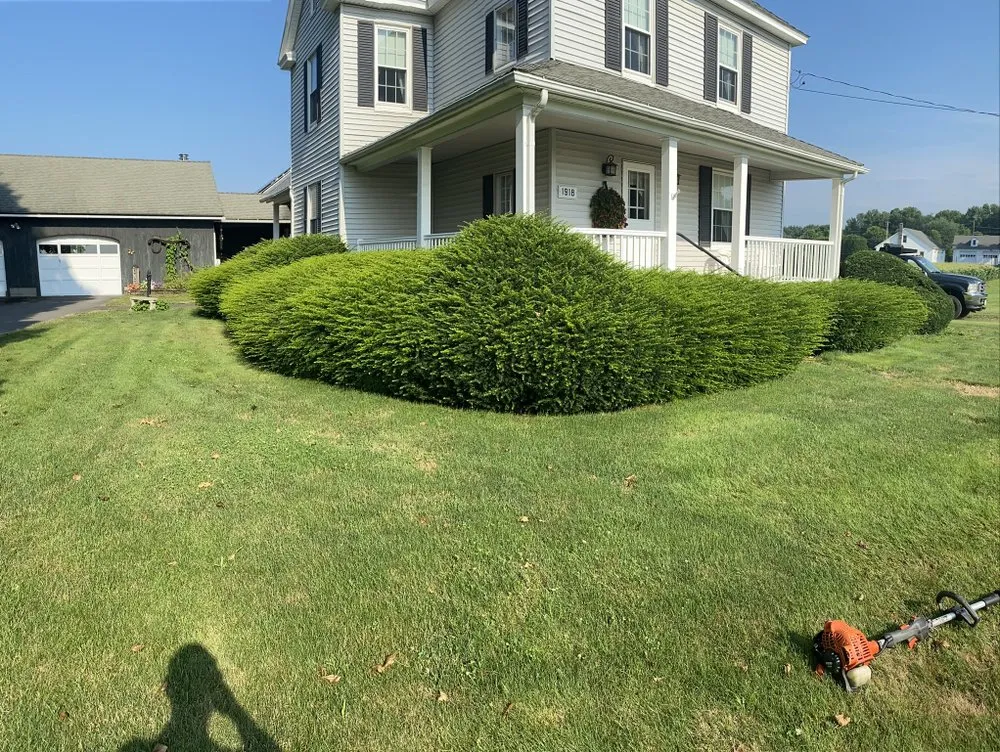 Professional landscaping services in Auburn, MA - JLC Landscape