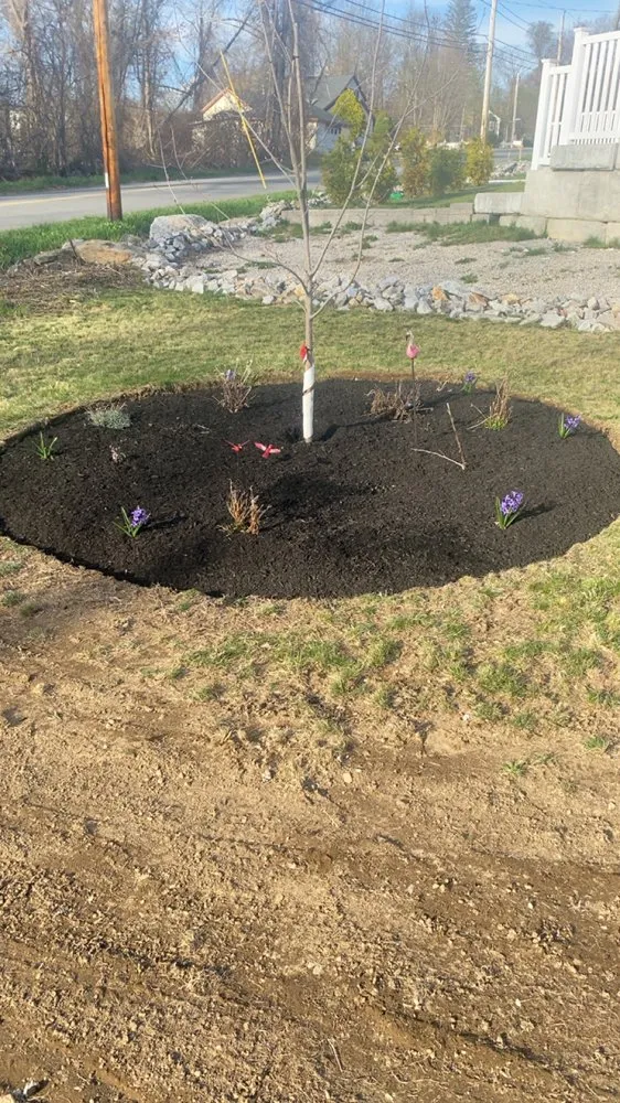 Top-rated landscape installation in Auburn, MA by JLC Landscape