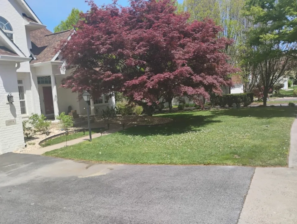 Top-rated yard cleanup service in Westminster, MD by JLC Landscaping And Lawn Care