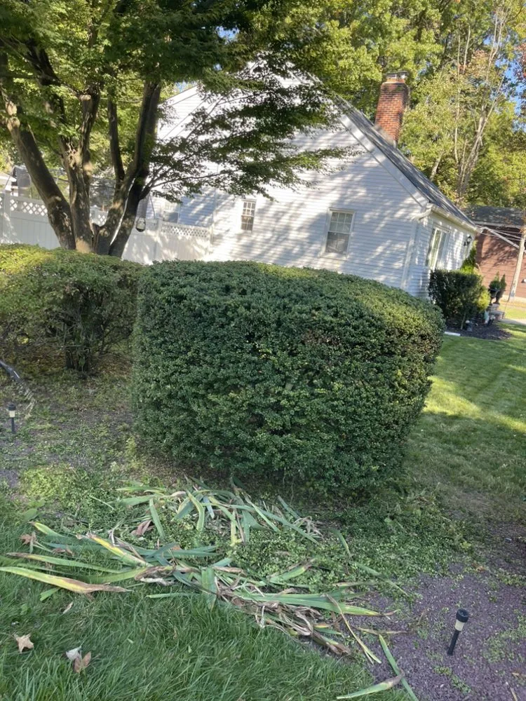 Expert residential landscaping in Hackensack, NJ by JLC Landscaping