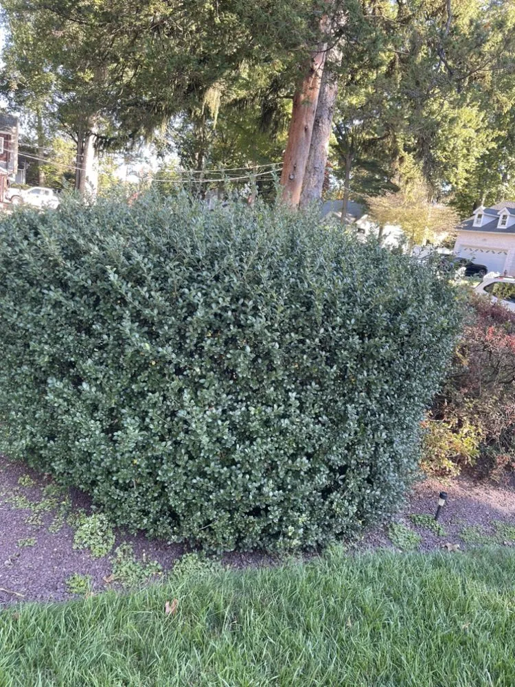 Reliable landscape design experts serving Hackensack, NJ - JLC Landscaping