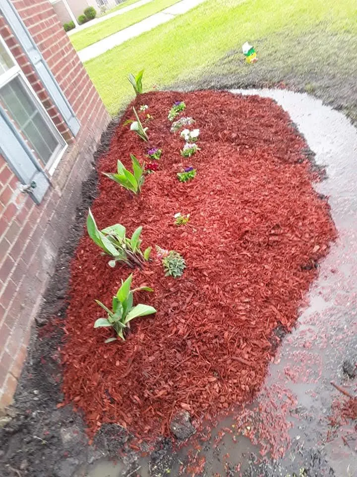 Reliable lawn mowing service experts serving Monroe, LA - JLC Lawn Care