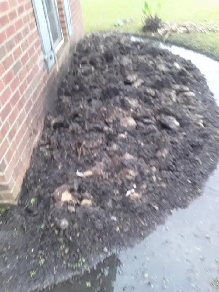 Custom yard maintenance near you in Monroe, LA by JLC Lawn Care