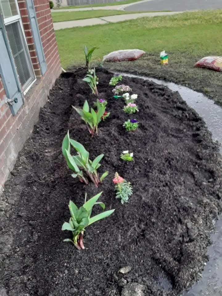 Top-rated landscaping services near you across Monroe, LA - JLC Lawn Care