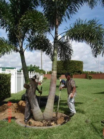 Affordable lawn mowing service experts serving Orlando, FL - JLC Outdoors