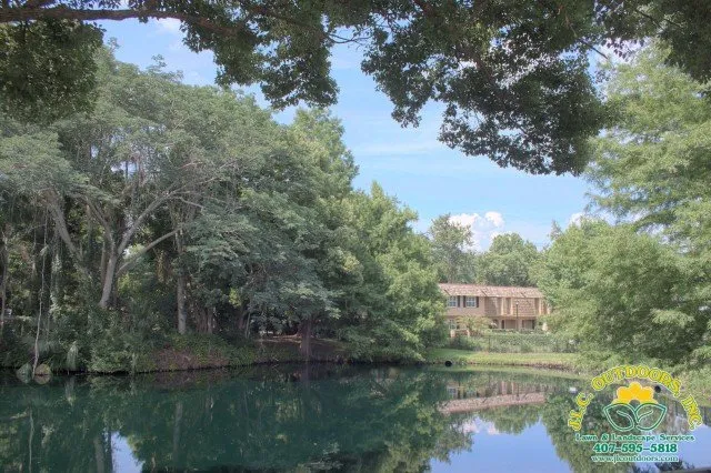 Top-rated yard cleanup service in Orlando, FL - JLC Outdoors