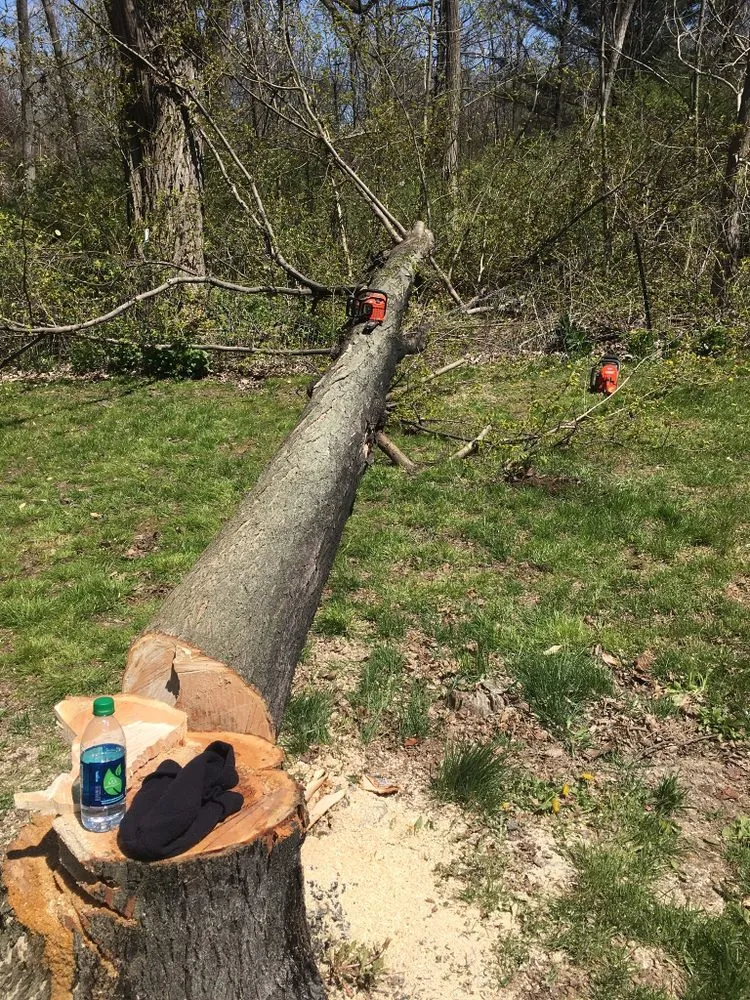 Reliable landscaping services in Trumansburg, NY by JLD Landscape