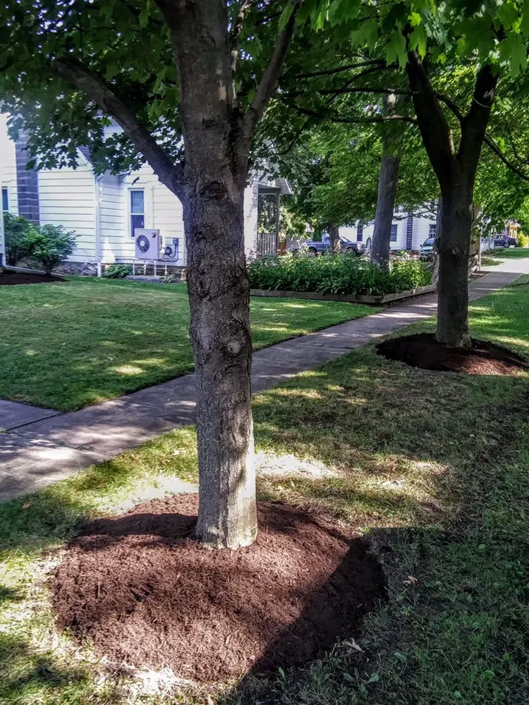 Affordable yard cleanup service in Trumansburg, NY by JLD Landscape
