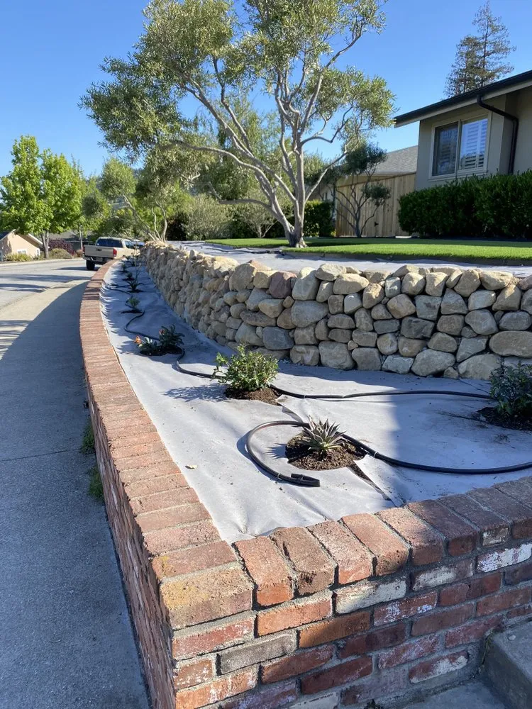 Top-rated yard maintenance experts serving Santa Maria, CA - JLD Landscaping
