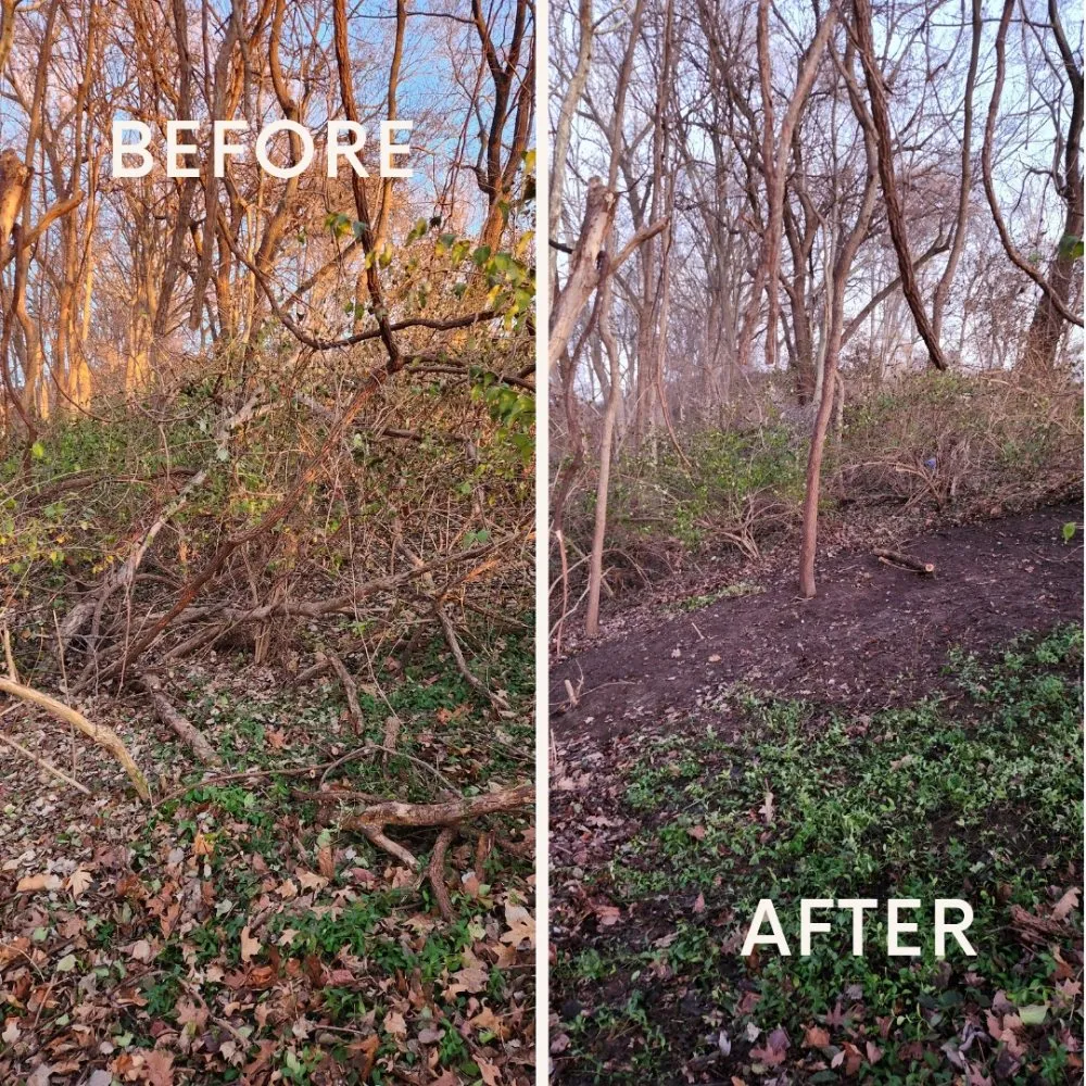 Affordable landscaping services experts serving Collinsville, IL - JLE Lawn & Landscape