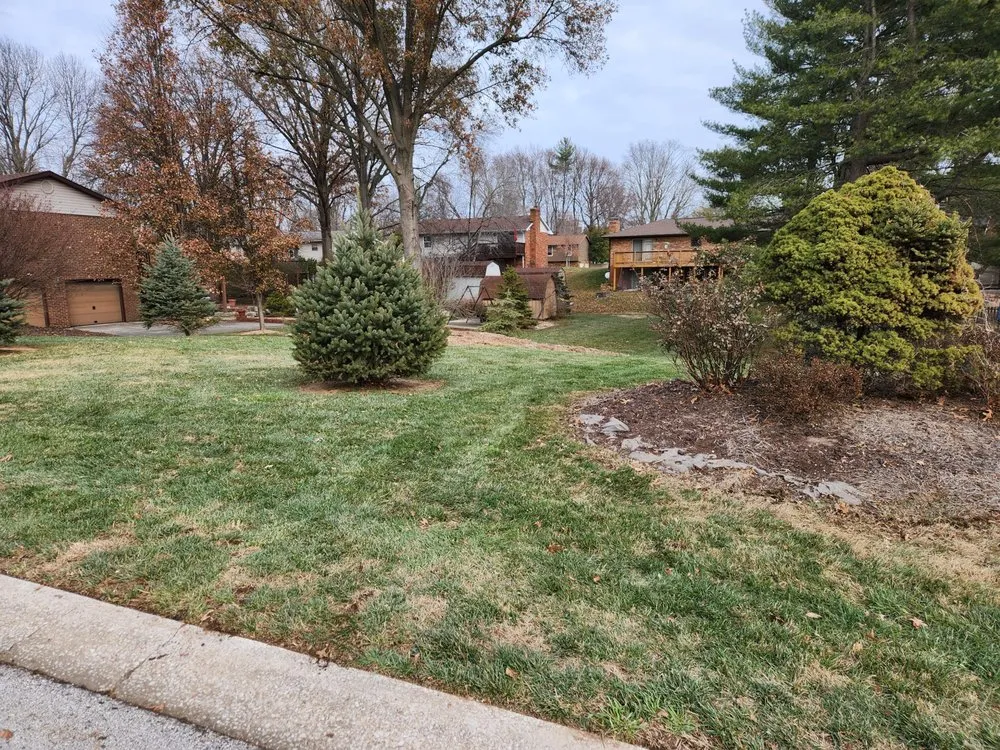 Trusted yard cleanup service near you in Collinsville, IL by JLE Lawn & Landscape