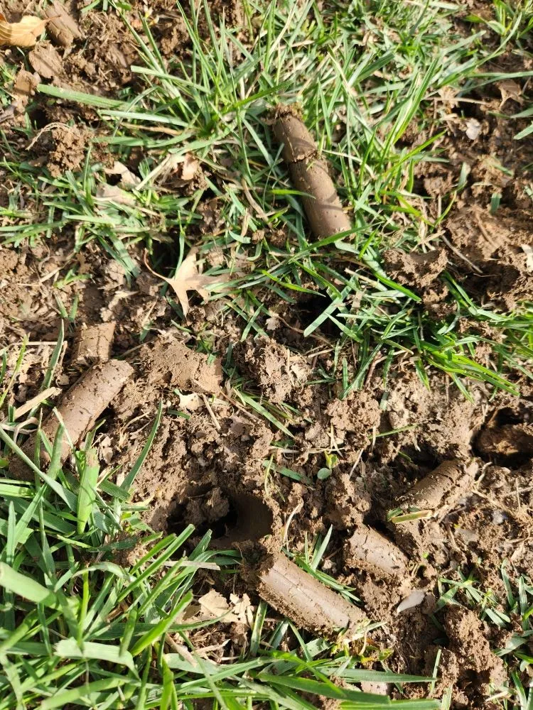 Custom yard cleanup service for outdoor upgrades across Collinsville, IL - JLE Lawn & Landscape