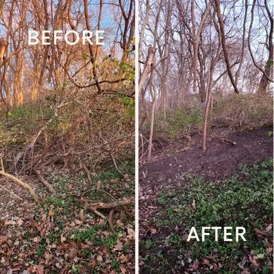 JLE Lawn & Landscape Logo