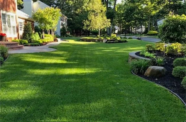 Reliable yard cleanup service in Moultrie, GA by JLG Land and Aquatics Services