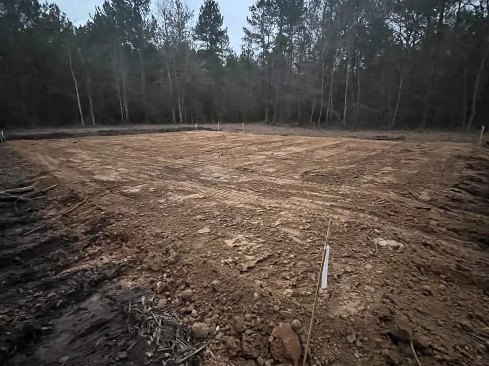 Trusted yard cleanup service for beautiful yards across Tomball, TX - JLG Land Management Services