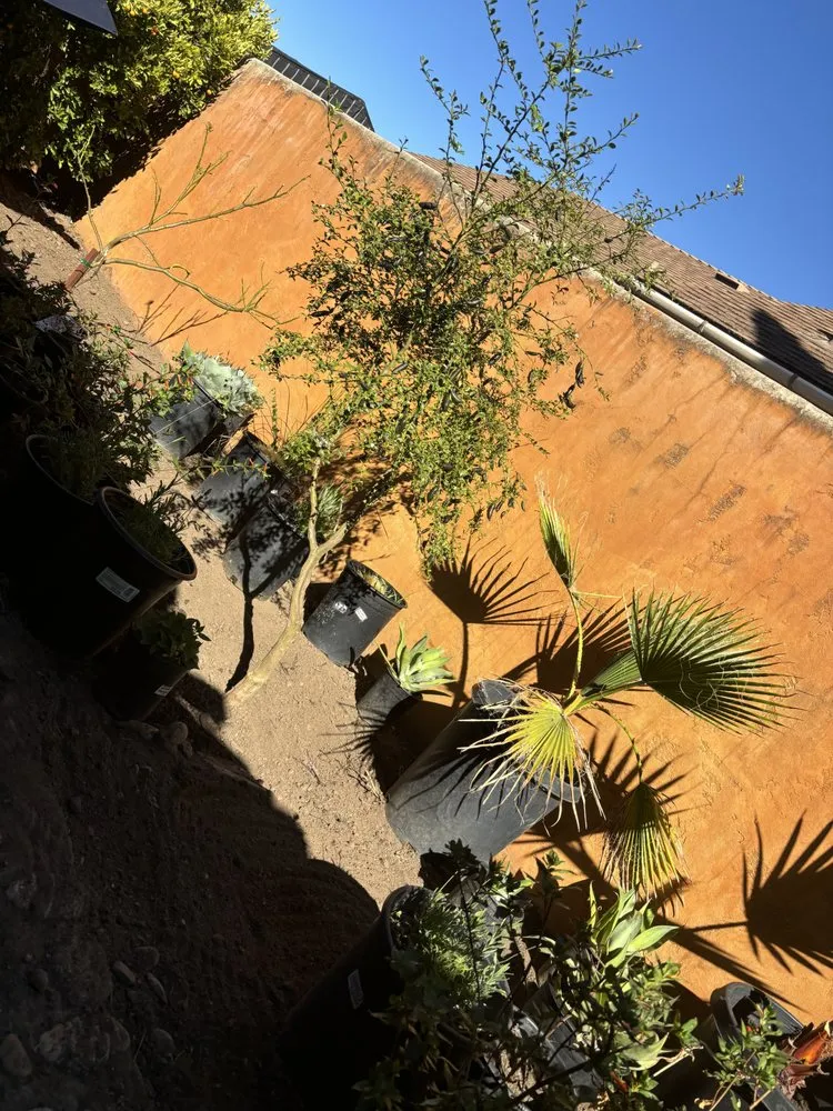 Trusted landscaping services for residential properties in Salinas, CA by J.L.G Landscape