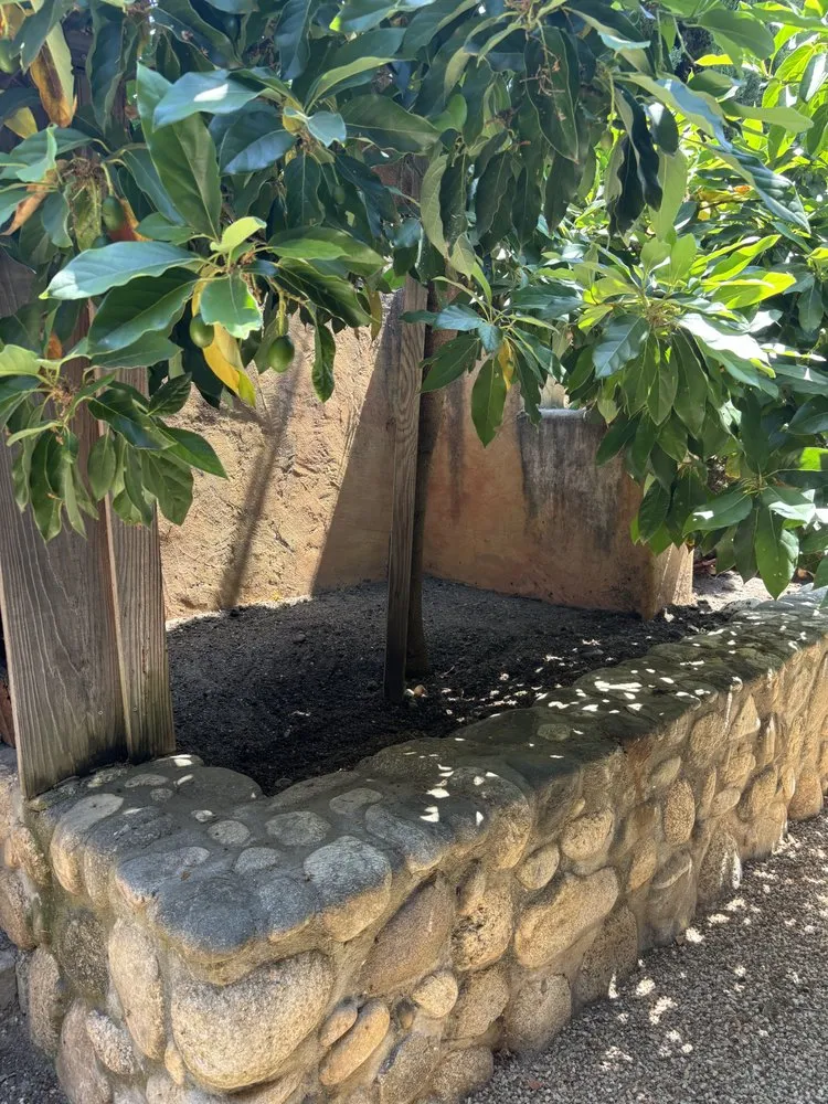 Trusted landscape design in Salinas, CA - J.L.G Landscape