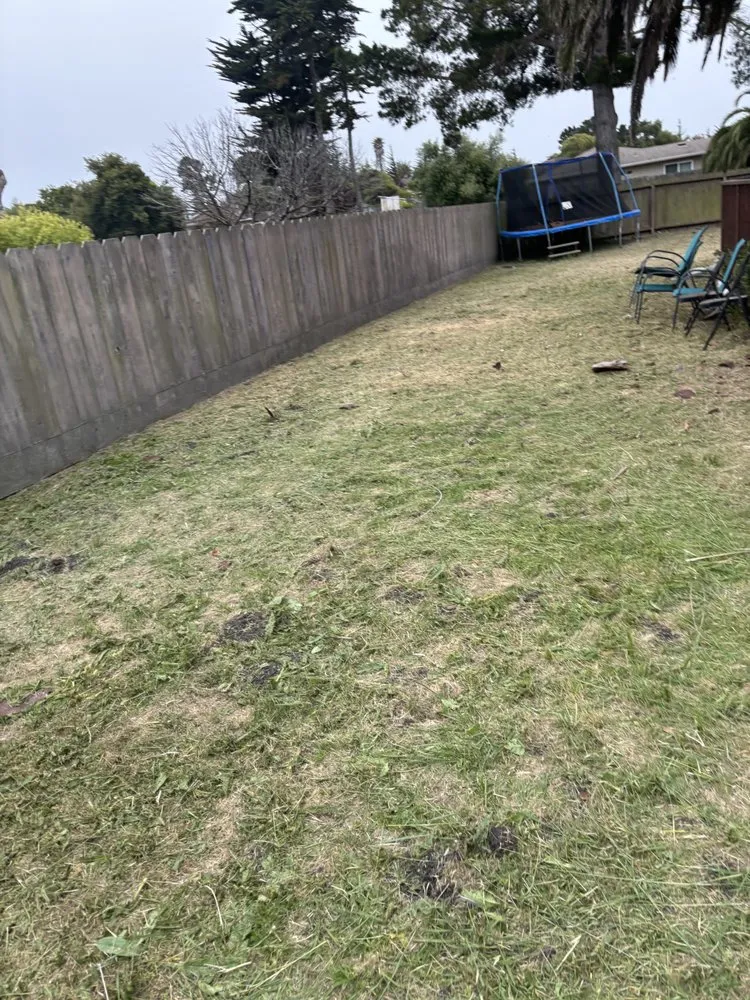 Expert yard cleanup service in Salinas, CA by J.L.G Landscape