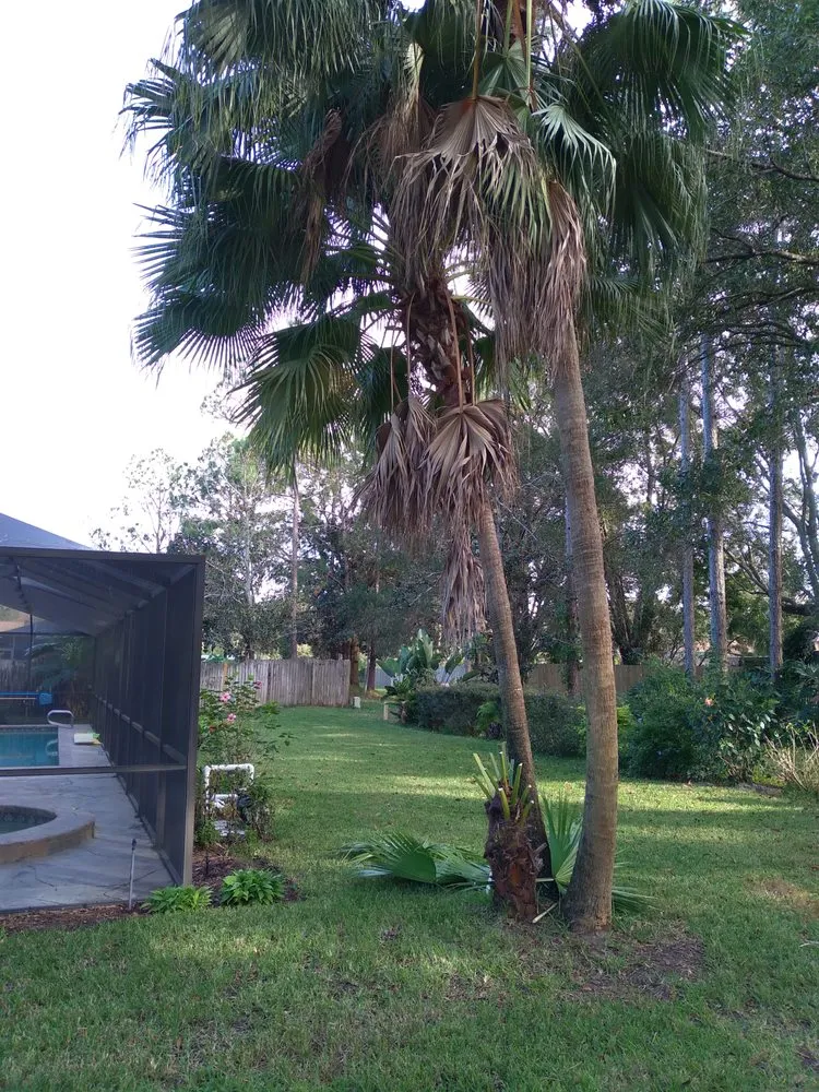 Reliable residential landscaping experts serving Tampa, FL - JLG Landscaping & Property Maintenance