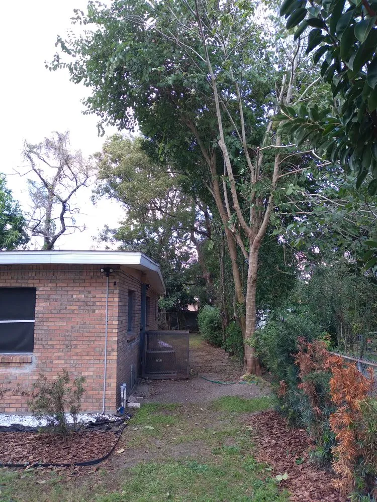 Top-rated lawn mowing service in Tampa, FL - JLG Landscaping & Property Maintenance